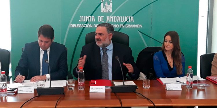 virginia fernandez subvenciones estatales erte