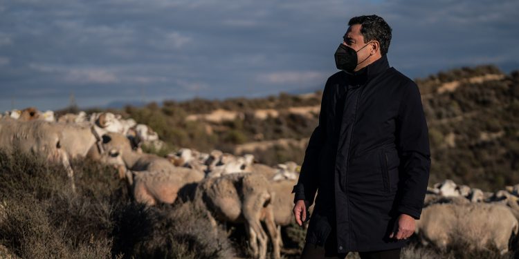 Moreno Bonilla ganadería