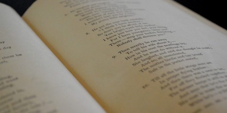 libro poesia literatura