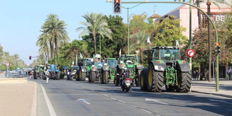El campo Andalucía se reivindica en Madrid.