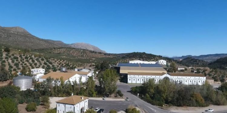 La DOP Priego de Córdoba consigue medallas para tres de sus aceites en el principal concurso del mundo