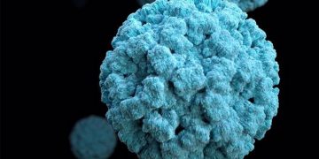 115 contagiados por una infección con diarreas en un hotel de Mojácar