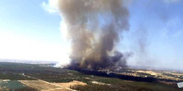 El Gobierno de España aprueba la declaración de zona catastrófica en cinco territorios andaluces afectados por incendios