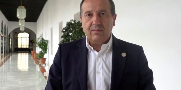 El PSOE-A reclama a Moreno Bonilla que resuelva los problemas de las familias de acogida y mejore su atención