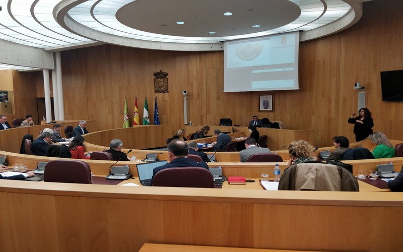 Pleno Diputación Granada