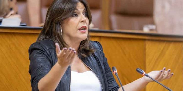 angeles ferriz psoe jaen