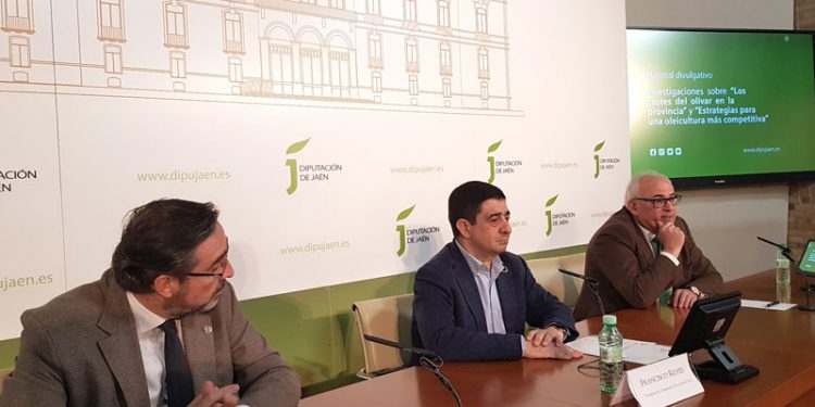 Alianza entre la Diputación de Jaén y la UJA para lograr que el olivar jiennense sea más competitivo