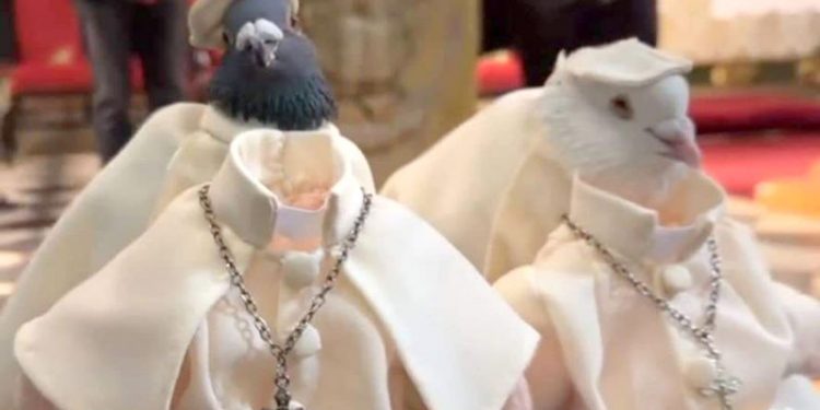 PACMA denuncia la utilización de palomas disfrazadas en un acto religioso en Alcalá la Real: «atadas y con pegamento en sus cabezas»