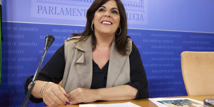 Férriz avisa de la posible «corrupción» del Gobierno andaluz en el desvío de fondos a la sanidad privada