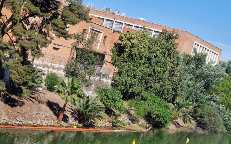 Luz verde a la pasarela peatonal sobre el Guadalquivir en Sevilla
