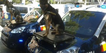 Perros Policía Unidad Canina