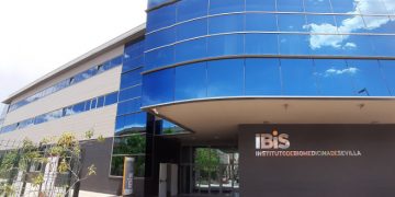 El IBIS de Sevilla descubre un nuevo tipo de celula ‘clave’ en el desarrollo de la memoria