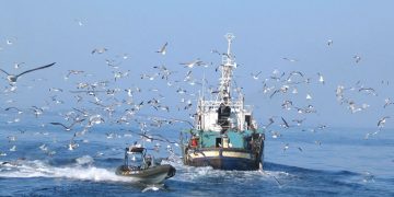 El Gobierno de España agiliza la concesión de ayudas al sector pesquero afectado por la finalización del protocolo de pesca UE-Marruecos