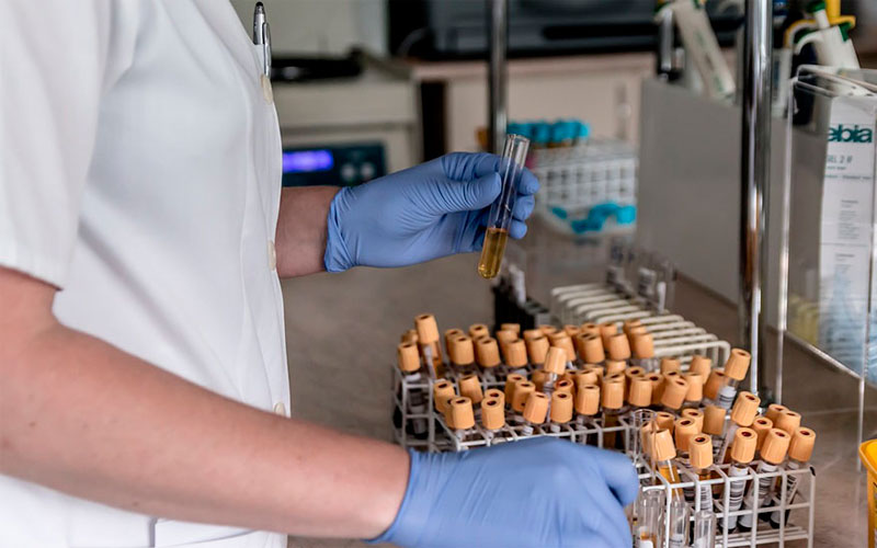 protocolo salud andalucia victimas sumision quimica