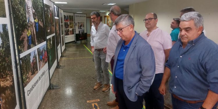 «Si no hay inversión en el sector del campo andaluz tenemos un problema de futuro»