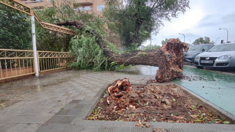 El paso de la borrasca ‘Aline’ deja más de 1.750 incidencias en Andalucía