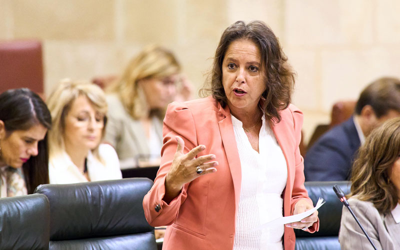 El Parlamento pone el foco en el incremento de las listas de espera en la sanidad andaluza