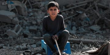 Llegan luces de Navidad (…continuación)