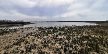 Andalucía contará con su IV Decreto de Sequía