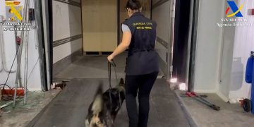 Intervenidas 25 toneladas de hachís en el puerto de Algeciras