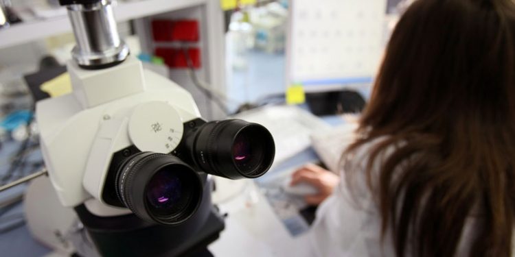 Salud confirma el caso de virus del Nilo Occidental en un menor de 5 años