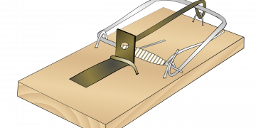 De la transparencia al autoboicot