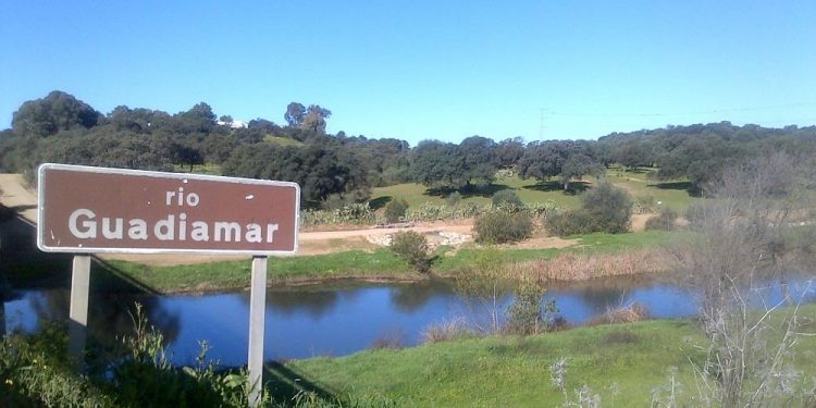 La CHG desmiente a los ecologistas sobre el supuesto vertido de la mina de Aznalcollar al Guadiamar