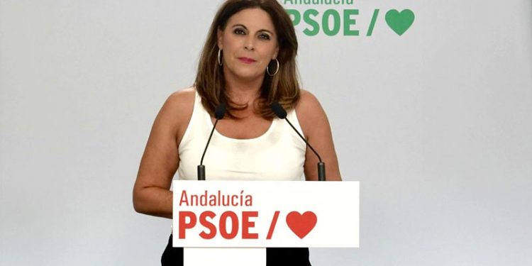 El PSOE afea que Moreno se ausente de una «situación crítica» como el Virus del Nilo «que se lleva a gente por delante»