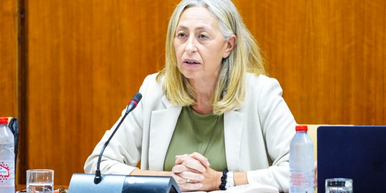 La consejera de Salud advierte que «quizás por un catarro común no hay que ir al médico»