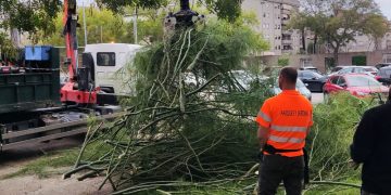 El Ayuntamiento de Jerez habilita un número de teléfono para damnificados por la DANA
