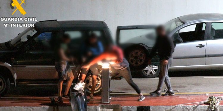 Desarticulado en Málaga un grupo delictivo por la pesca furtiva de atún rojo