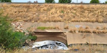 Obras de emergencia de la CHG en el arroyo del Tamarguillo y en el Canal del Viar