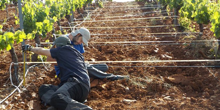 El PSOE alerta de la «elevada tasa de desempleo de los jóvenes andaluces» ante la inacción de la Junta