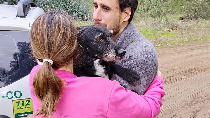 Boro, el perro desaparecido en el accidente de Adamuz, vuelve con su familia a casa